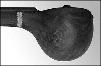 Caisse d'une veena de Mysore 
