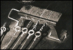 Chevalet Veena du Kerala